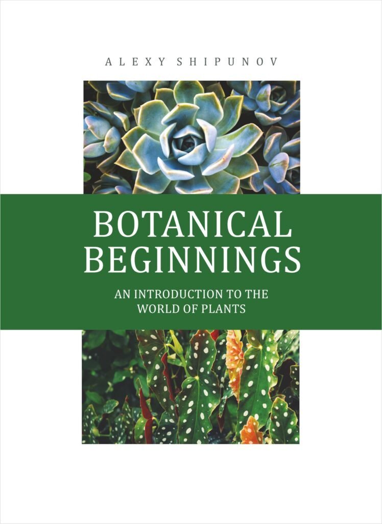 Botanical Beginnings: An Introduction to the World of Plants