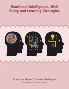 Emotional Intelligence, Well Being and Learning Strategies