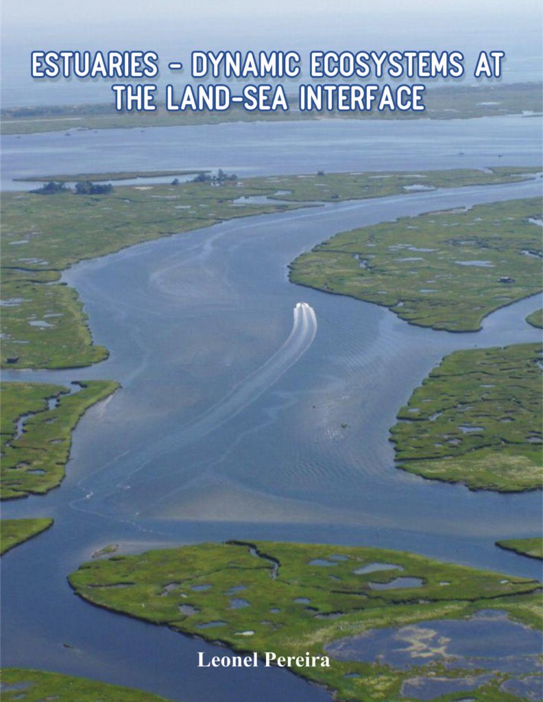 Estuaries – Dynamic Ecosystems at the Land-Sea Interface